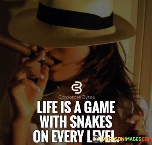 Life Is A Game With Snakes On Every Level Quotes