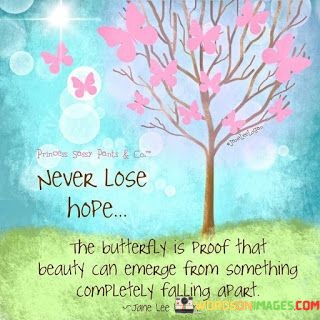 Never Lose Hope The Butterfly Quotes