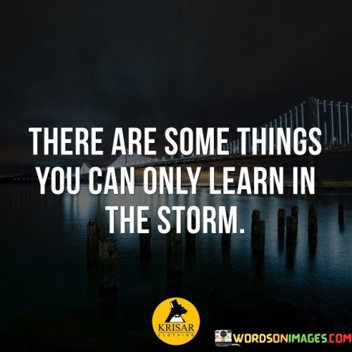 There Are Some Things You Can Only Learn In The Storm Quotes
