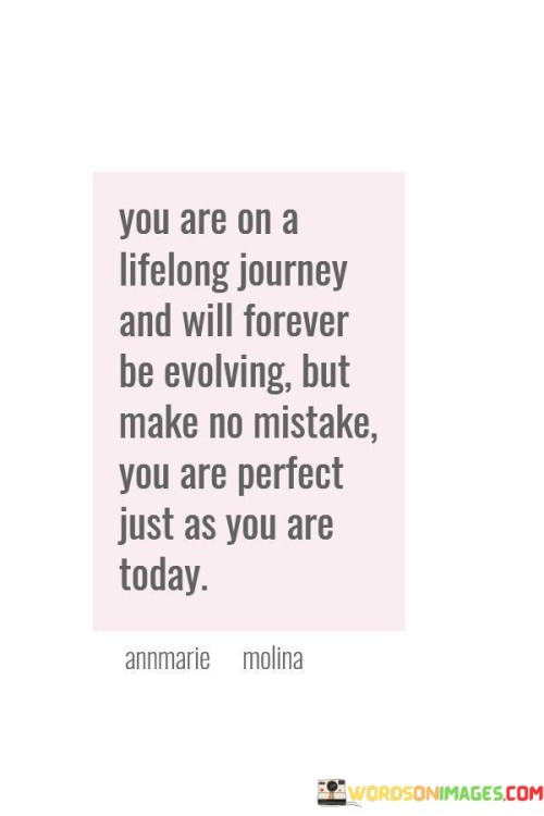You Are On A Lifelong Journey And Will Forever Be Evolving Quotes