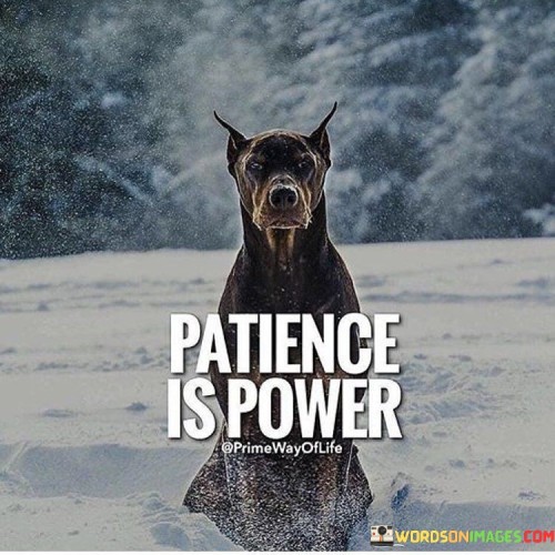 Patience Is Power Quotes