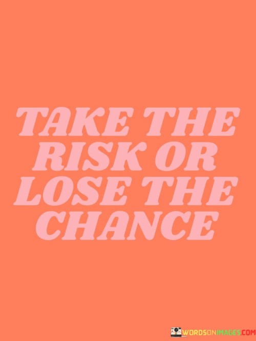 Take The Risk Or Lose The Chance Quotes