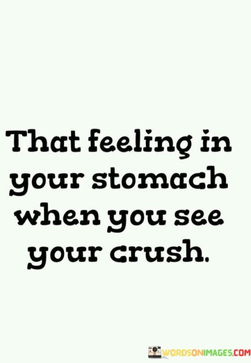 That Feeling In Your Stomach When You See Your Crush Quotes