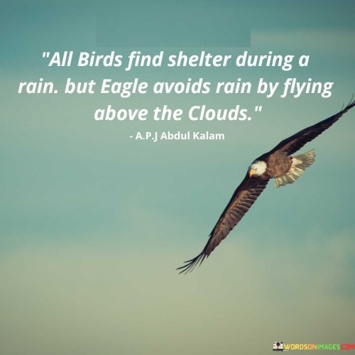 All Birds Find Shelter During A Rain But Eagle Avoids Rain Quotes