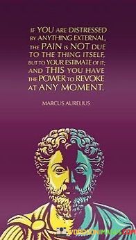 If-You-Are-Distressed-By-Anything-External-The-Pain-Is-Not-Due-To-The-Thing-Itself-But-To-Our-Quotes.jpeg