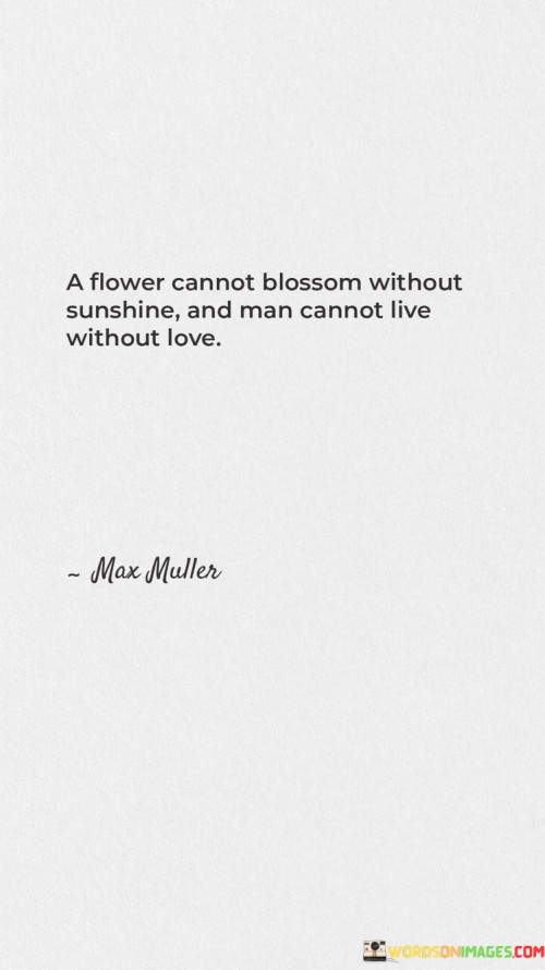 A-Flower-Cannot-Blossom-Without-Sunshine-And-Man-Cannot-Live-Without-Love-Quotes.jpeg