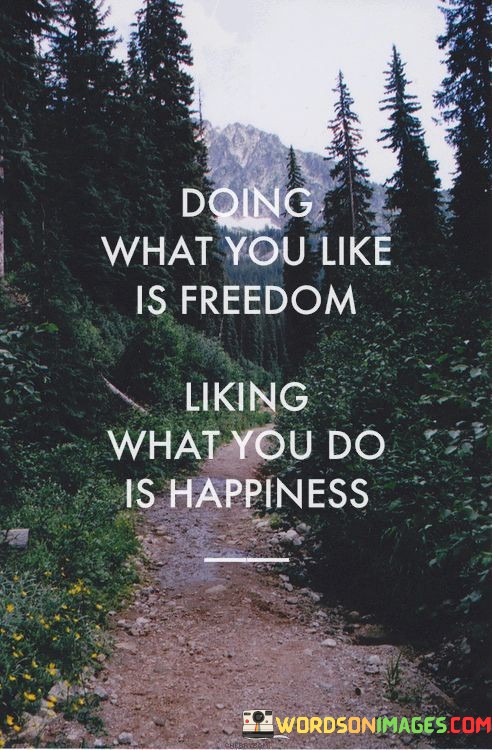 Doing-What-You-Like-Is-Freedom-Liking-What-You-Do-Is-Happiness-Quotes.jpeg