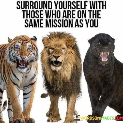 Surround Yourself With Those Who Are On The Same Mission As You Quotes