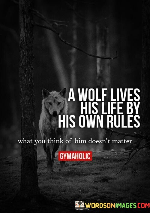 A-Wolf-Lives-His-Life-By-His-Own-Rules-Quotes.jpeg