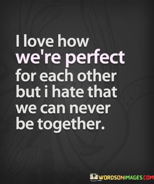 I-Love-How-Were-Perfect-For-Each-Other-But-I-Hate-That-Quotes.jpeg