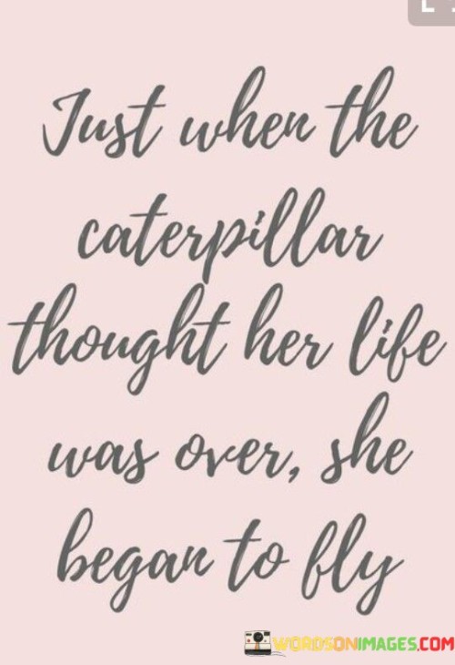 Just When The Caterpillar Thought Her Life Was Over She Began To Fly Quotes