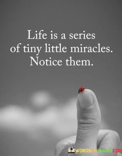 Life Is A Series Of Tiny Little Miracles Notice Them Quotes