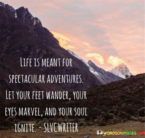 Life Is Meant For Spectacular Adventures Let Your Feet Wander Quotes