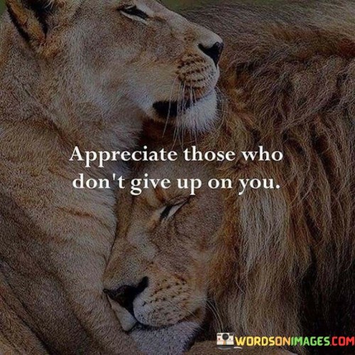 Appreciate Those Who Don't Give Up On You Quotes