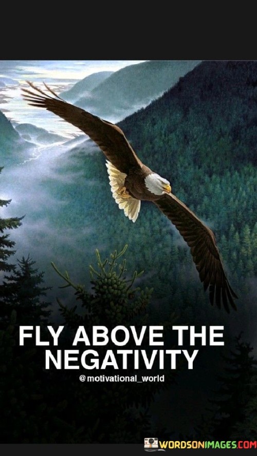 Fly Above The Negativity Quotes