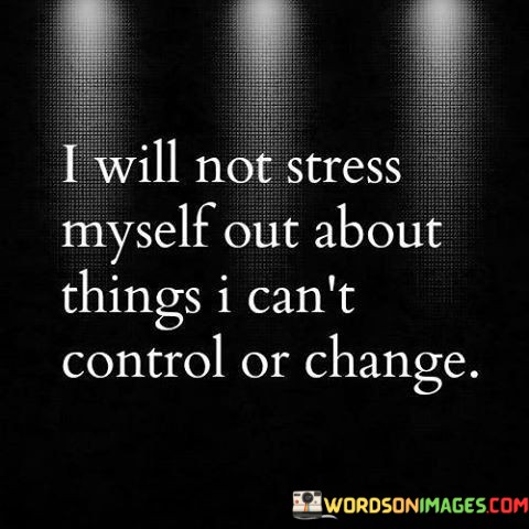 I Will Not Stress Myself Out About Thing I Can't Control Or Change Quotes