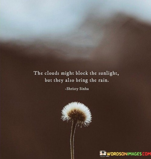 The Clouds Might Block The Sunlight But They Also Bring The Rain Quotes
