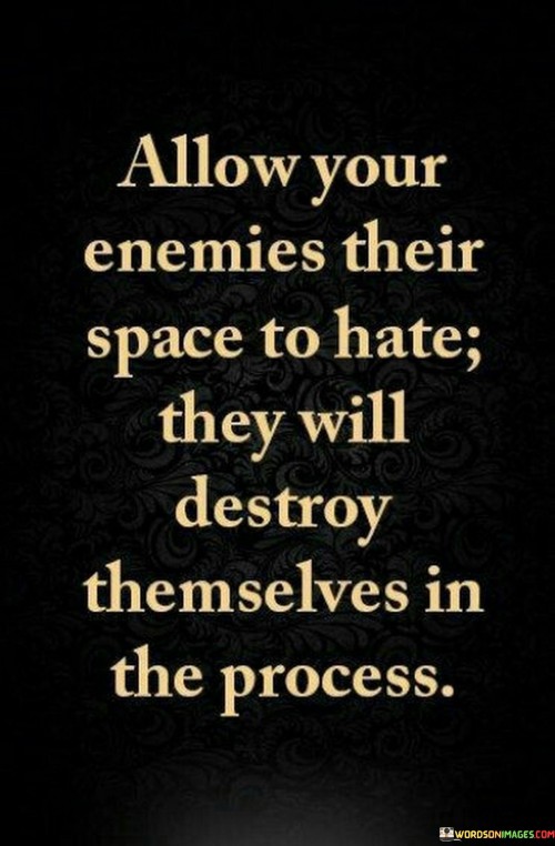 Allow Your Eneies Their Space To Hate They Quotes