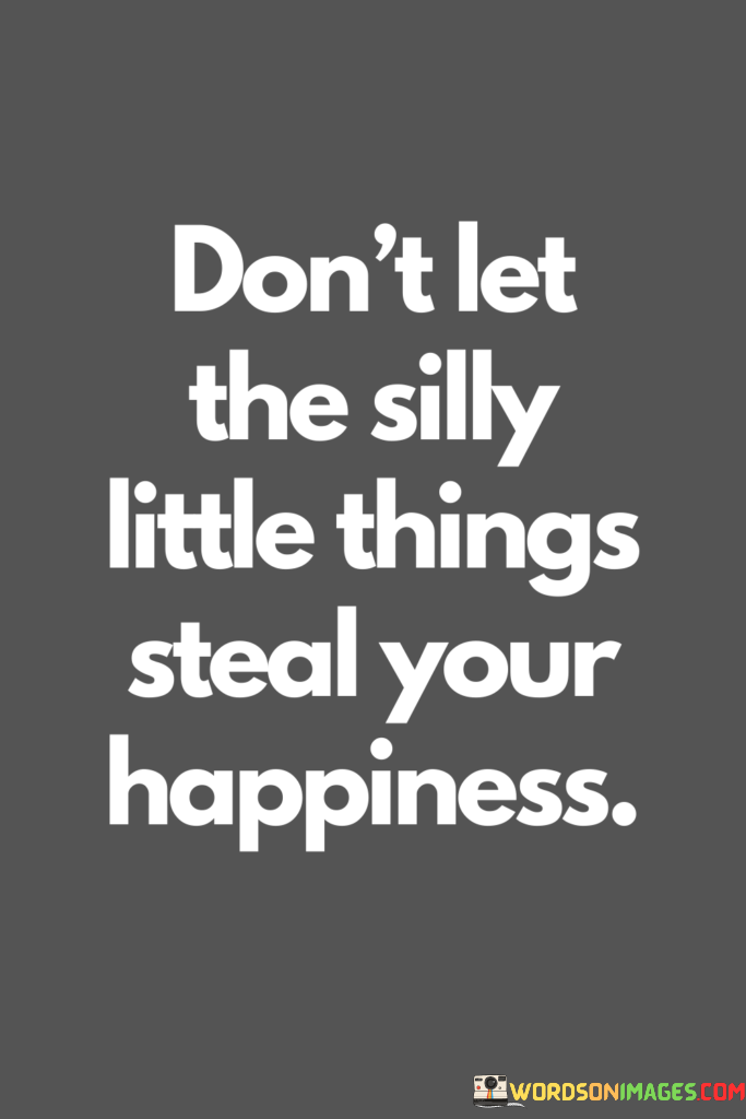 Dont-Let-The-Silly-Little-Things-Steal-Your-Happiness-Quotes
