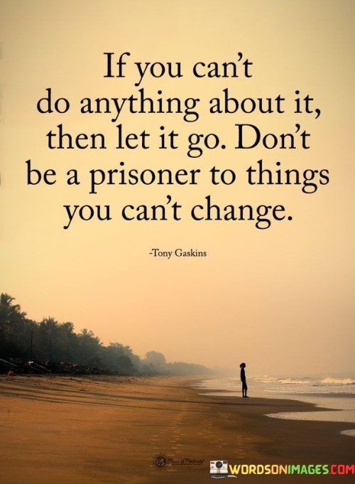 If You Can't Do Anything About It Then Let It Go Quotes