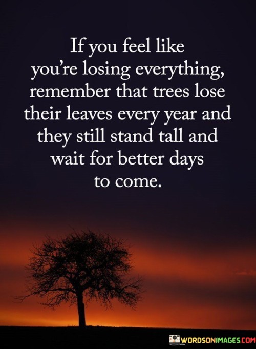 If You Feel Like You're Losing Everything Remember That Trees Lose Quotes