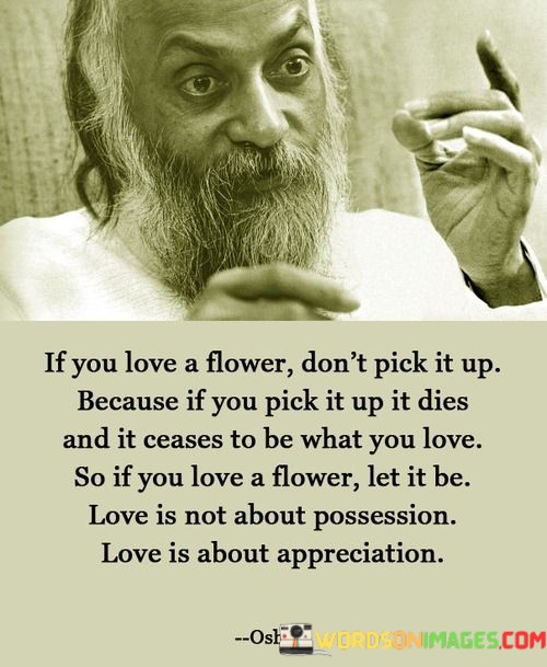 If-You-Have-A-Flower-Dont-Pick-It-Up-Because-Quotes.jpeg