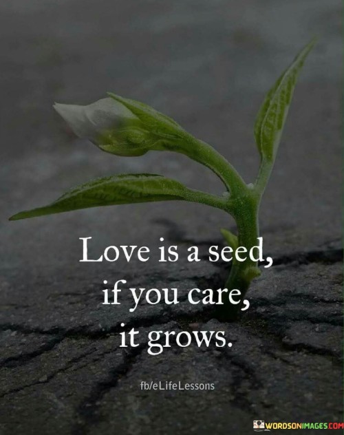 Love Is A Seed If You Care It Grows Quotes