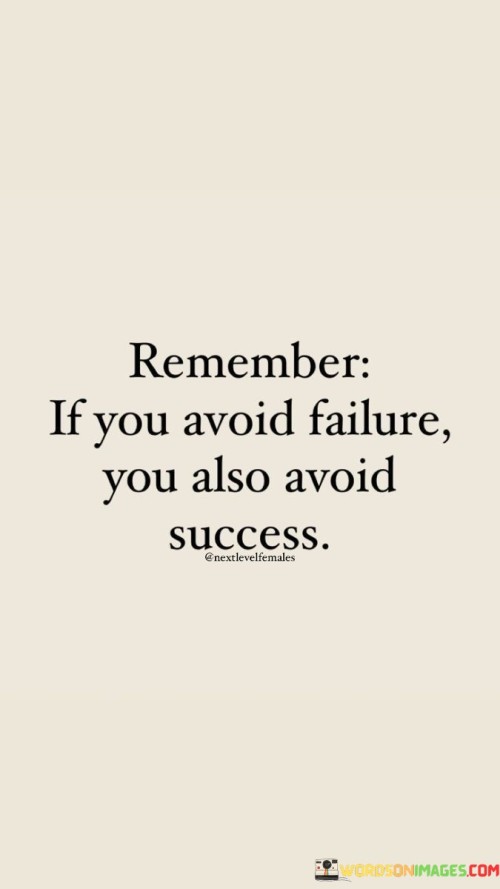 Remember If You Avoid Failure You Also Avoid Success Quotes