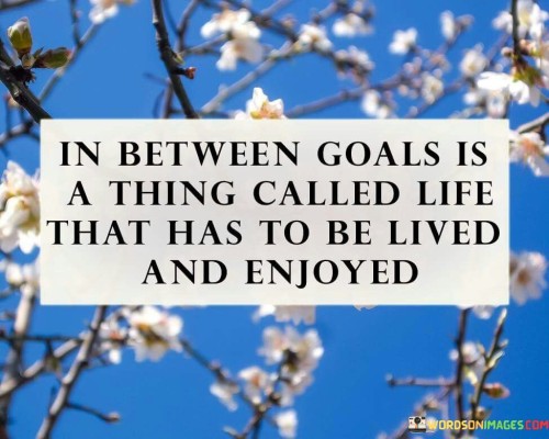 In Between Goals Is A Thing Called Life That Has To Be Lived Quotes
