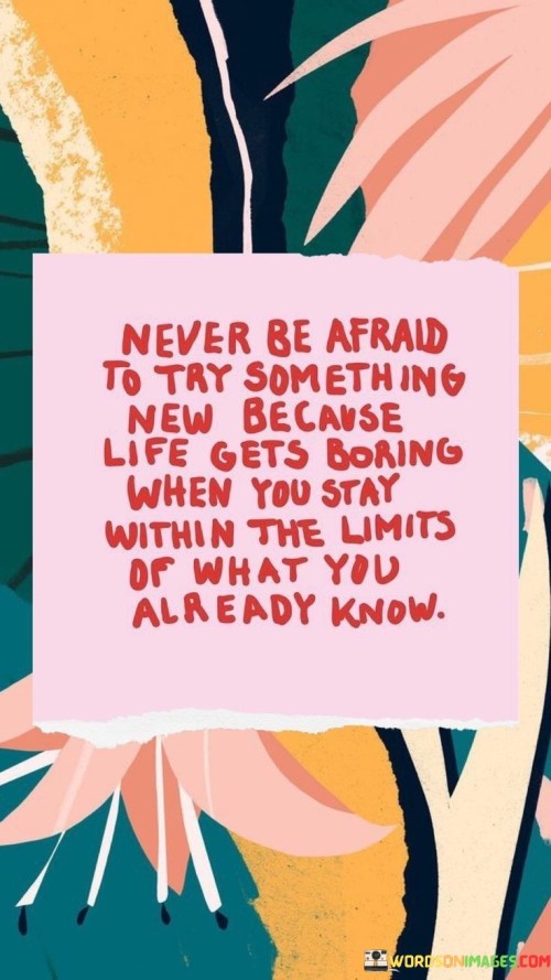 Never Be Afraid To Try Something New Because Life Gets Boring Quotes
